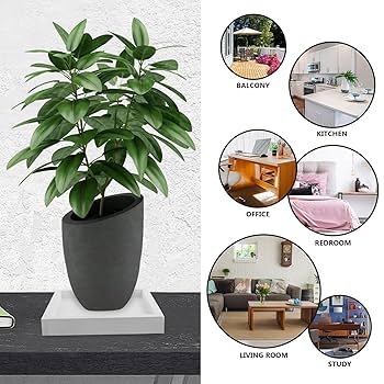 【なお】植木鉢＆受け皿_まとめ買い サボテン用 植木鉢 陶器鉢 受け皿 底穴付き 小型植物 多肉植物